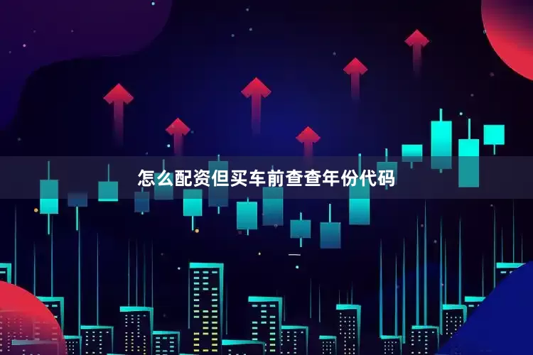 怎么配资但买车前查查年份代码